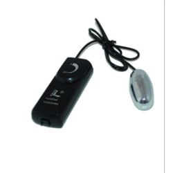 Silver Vibrating Egg