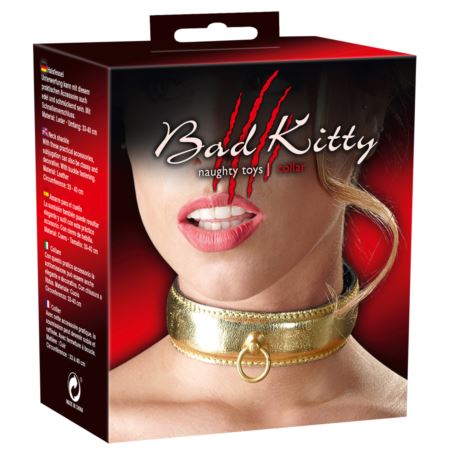 Leather Collar gold