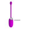 Pretty Love Brook vibrating Egg Pink usb