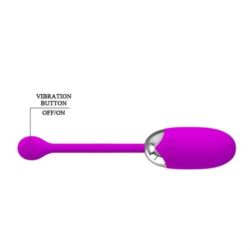 Pretty Love Brook vibrating Egg Pink usb
