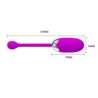 Pretty Love Brook vibrating Egg Pink usb