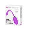 Pretty Love Franklin Vibrating Egg purple USB
