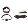 Erospace Wild Play C9 bdsm set 4 pcs