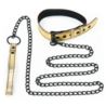 Bondage Fetish gold collar with leash