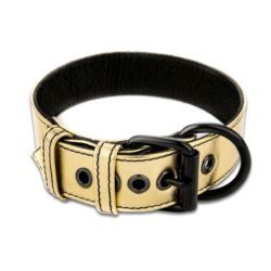 Bondage Fetish gold collar with leash