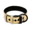 Bondage Fetish gold collar with leash