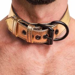 Bondage Fetish gold collar with leash