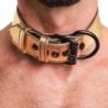 Bondage Fetish gold collar with leash