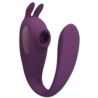 Pretty Love Shey global remote control purple USB