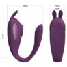 Pretty Love Shey global remote control purple USB