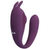 Pretty Love Shey global remote control purple USB