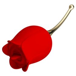 Pretty Love Rose Lover licking USB