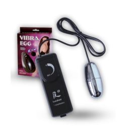 Silver Vibrating Egg