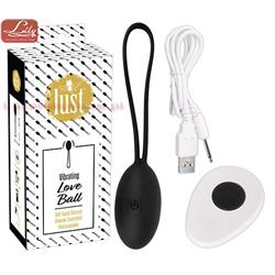 Lust EGG Vibrators Pilot USB black-9365