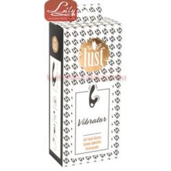 Vibrators Clitoris & Prostate Unisex Pilot USB