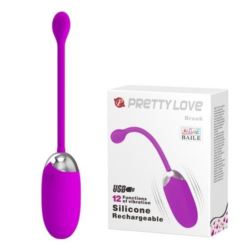 Pretty Love Brook vibrating Egg Pink usb