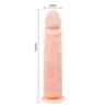 Barbara Ammut Dildo Suction cup Flesh