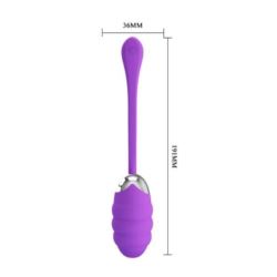 Pretty Love Franklin Vibrating Egg purple USB