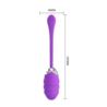 Pretty Love Franklin Vibrating Egg purple USB