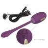 Pretty Love Doreen global remote control purple
