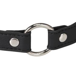 Erospace Wild Play C17 choker metal ring