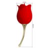 Pretty Love Rose Lover licking USB