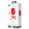 Pretty Love Rose Lover licking USB