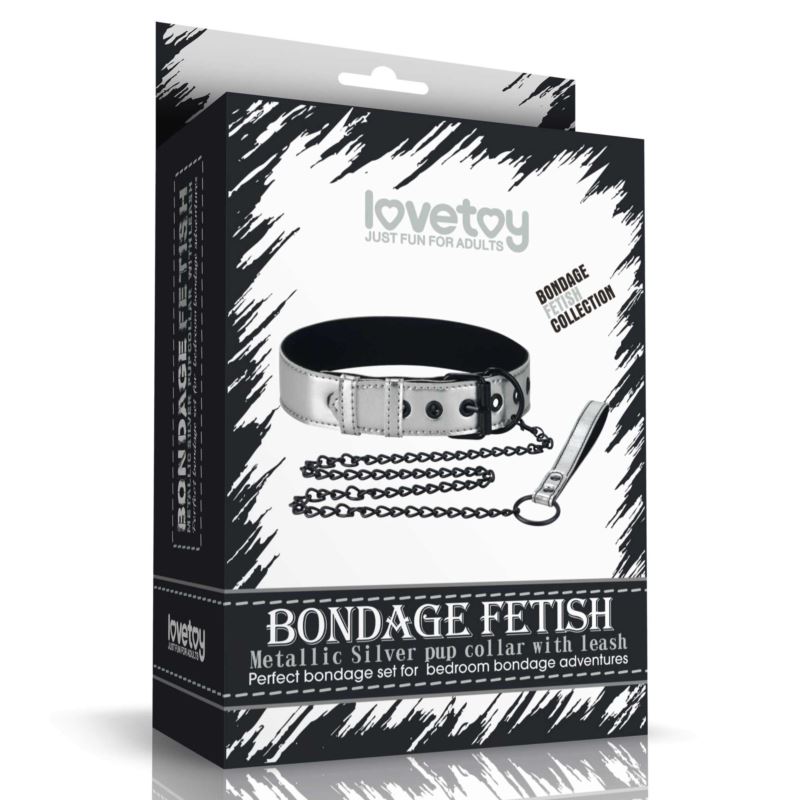 Bondage fetish collar and leash silver