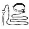 Bondage fetish collar and leash silver