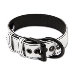 Bondage fetish collar and leash silver