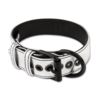 Bondage fetish collar and leash silver